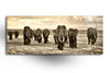 Safari Animal Elephants Tempered Glass Wall Art