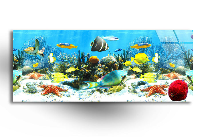 Colorful Tropical Fishes Glass Wall Art, custom glass photo prints, large glass prints