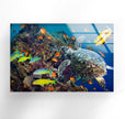 Undersea Fishes Tempered Glass Wall Art
