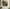 Green and Red Stained Tempered Glass Wall Art