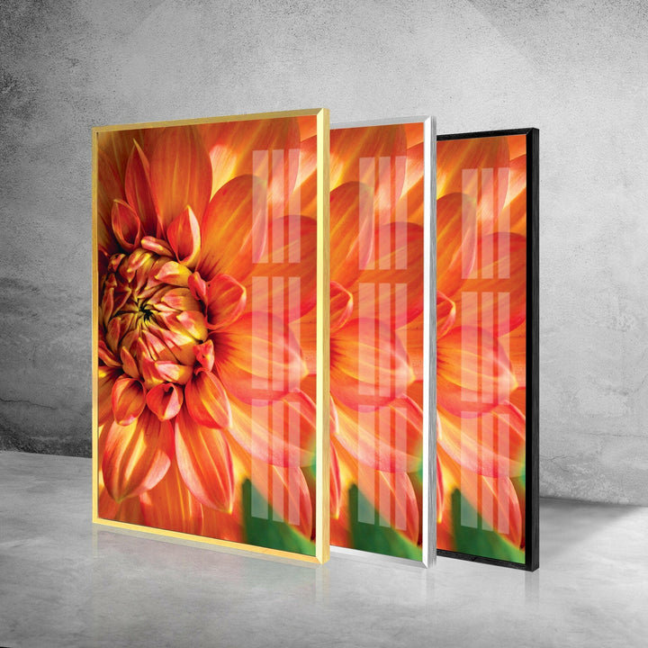 Closeup Vivid Red Flower Glass Wall Art, glass pictures for Wall, glass prints wall art