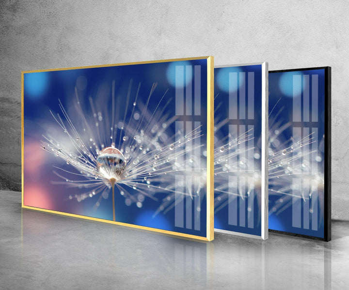 Blue Dandelion With Drops Glass Wall Art, glass pictures for Wall, glass prints wall art