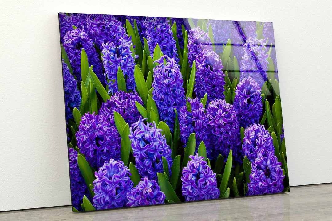 Hyacinth Flower in Garden Glass Wall Art Glass Printing Wall Art, Print photos on glass