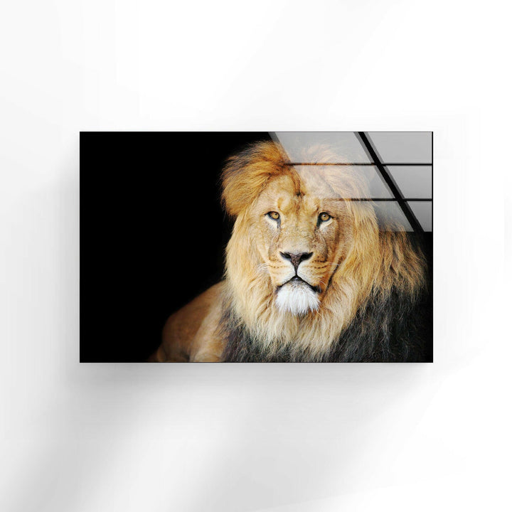 Old Lion Glass Wall Art glass pictures for Wall, glass prints wall art