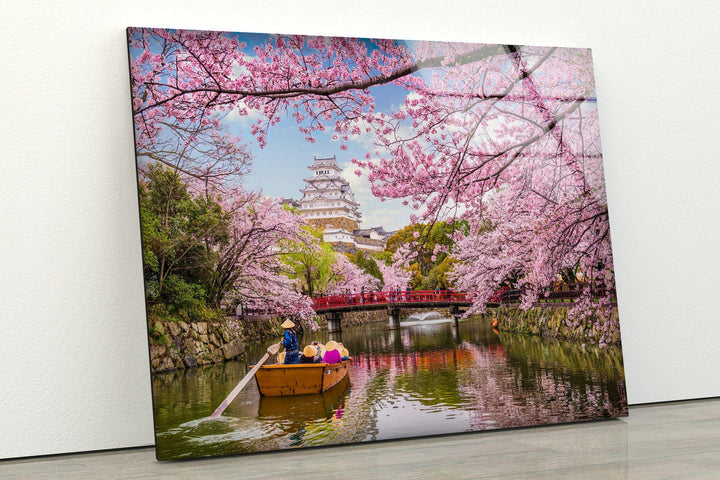 Spring in Japan – A Serene Cherry Blossom Reflection on Glass
