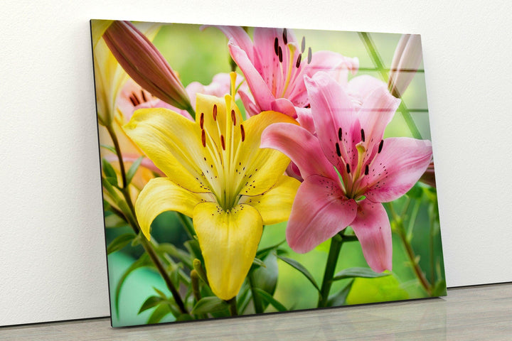 Yellow-Pink Lily Flower Glass Wall Art, Glass Printing Wall Art, Print photos on glass