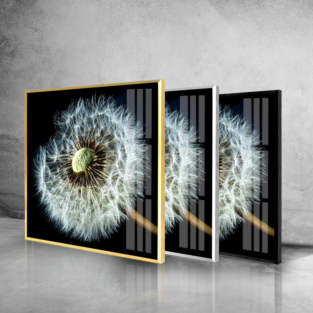 Dandelion Seeds Closeup Glass Wall Art, print on glass, glass printed photos