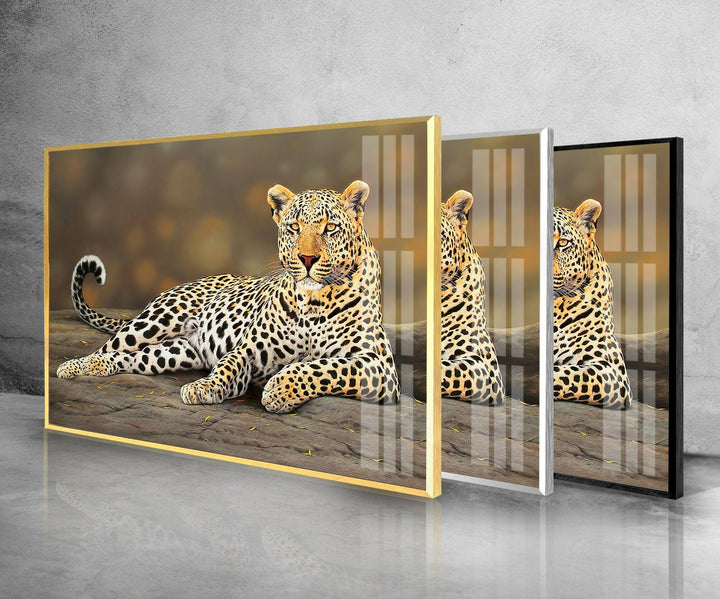 Laying Cheetah Glass Wall Art custom glass pictures, glass art prints