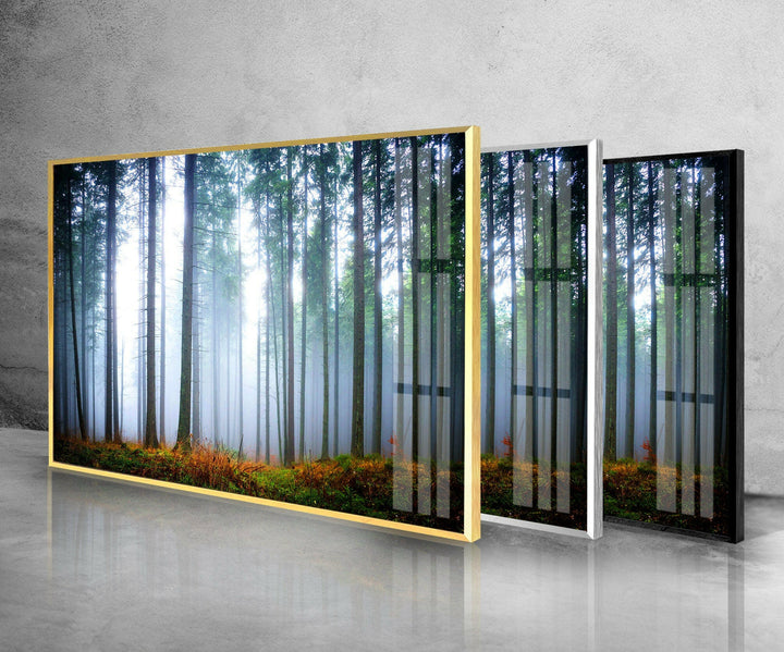Wandbild aus Glas im Nebelwald