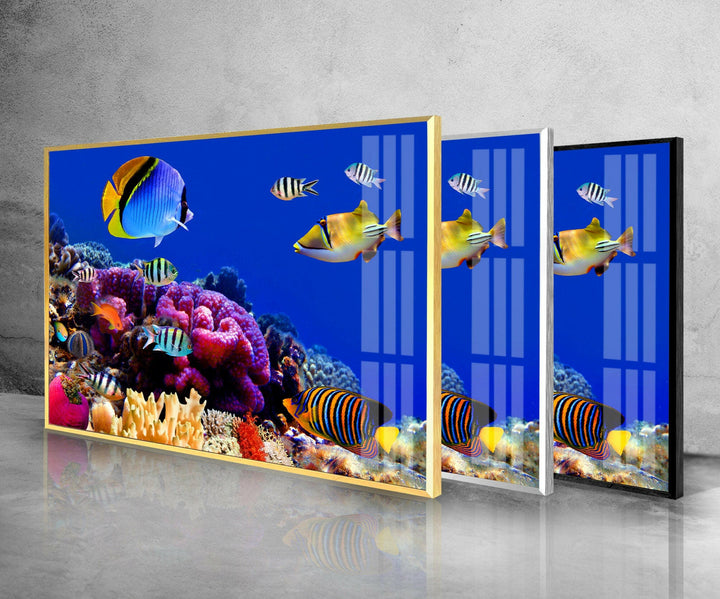 Tropical Aquarium Glass Wall Art glass image printing, glass prints from photos