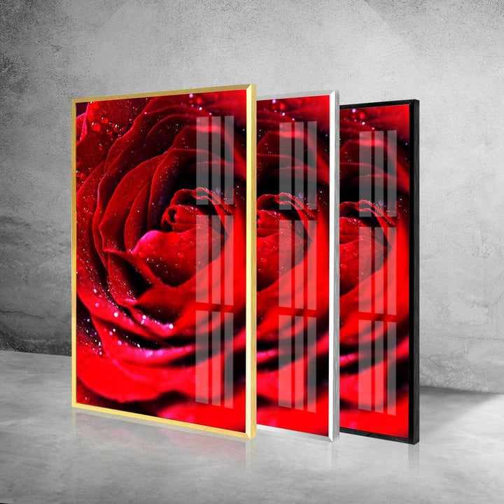 Red Rose With Water Drops Glass Wall Art, custom glass pictures, glass art prints