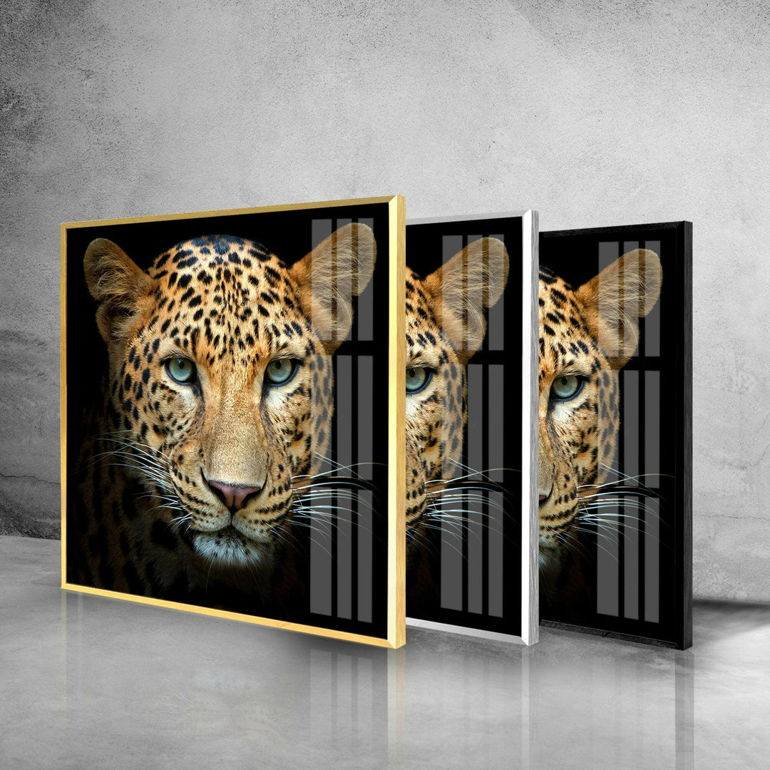 Leopard Portrait Glass Wall Art picture on glass wall art, photos printed on glass