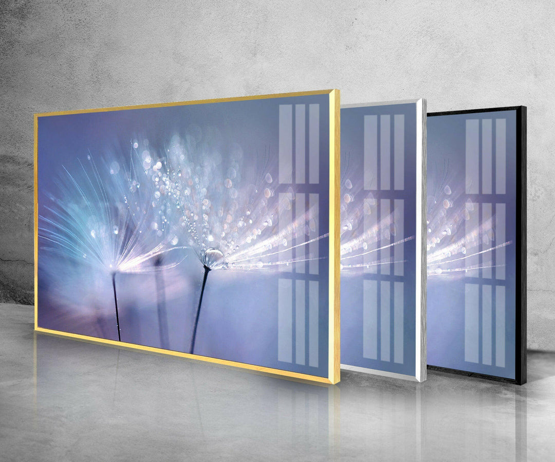 Dandelion Seed With Drops Glass Wall Art, Glass Printing Wall Art, Print photos on glass