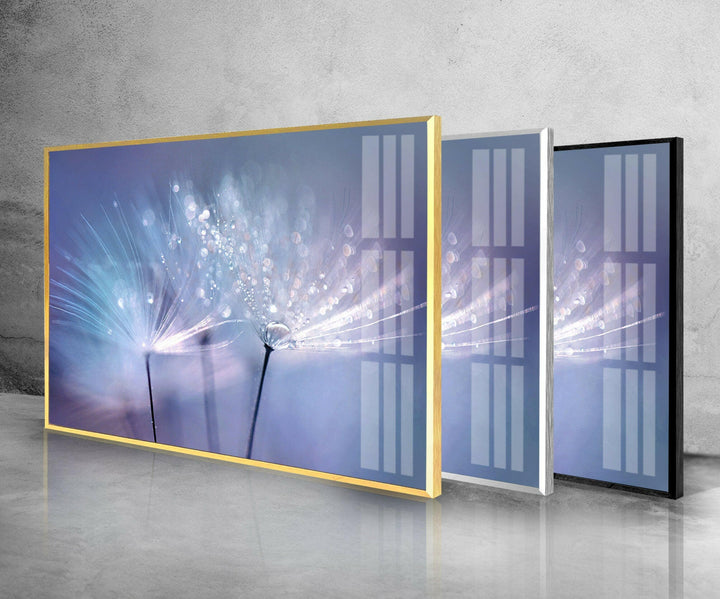 Dandelion Seed With Drops Glass Wall Art, Glass Printing Wall Art, Print photos on glass