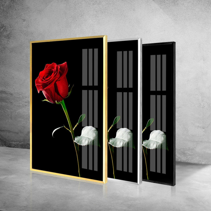 Single Red Rose On Black Glass Wall Art, photo print on glass, prints on glass wall art