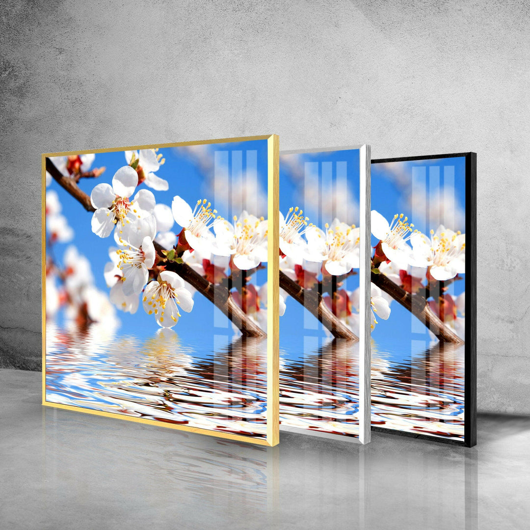 Cherry Tree Branch In Bloom Glass Wall Art, Glass Printing Wall Art, Print photos on glass
