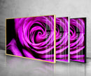 Purple Rose Tempered Glass Wall Art