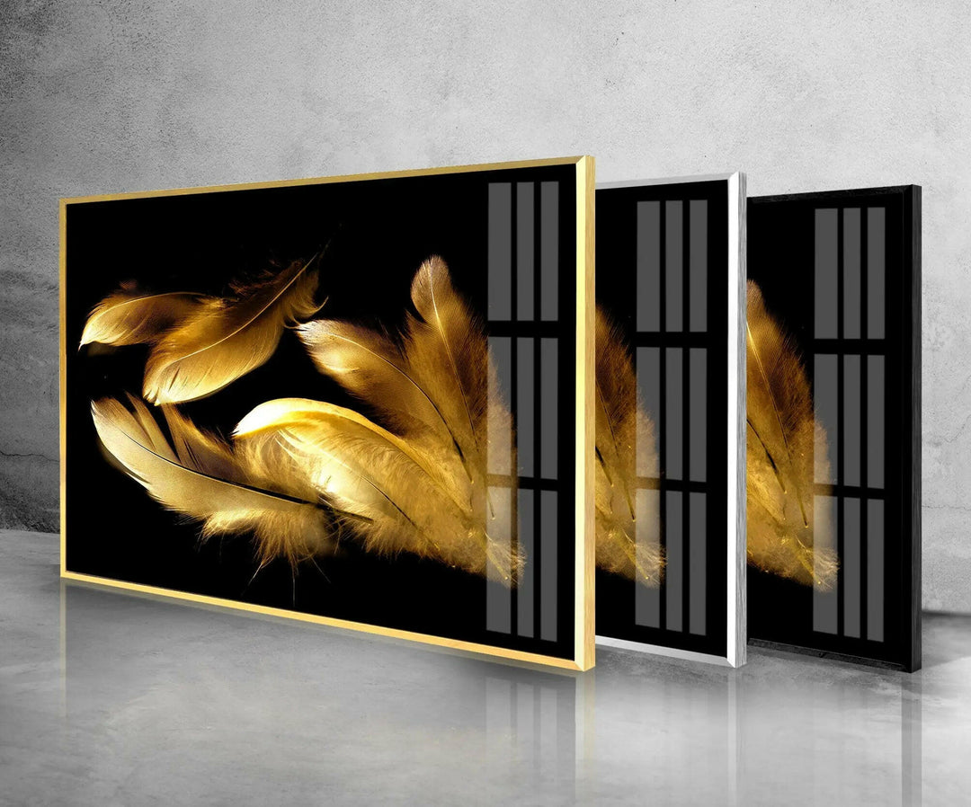 Gold Feathers with Black background Framed Glass Wall Art