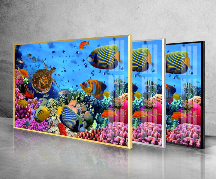 Underwater Animals Glass Wall Art glass pictures for Wall, glass prints wall art