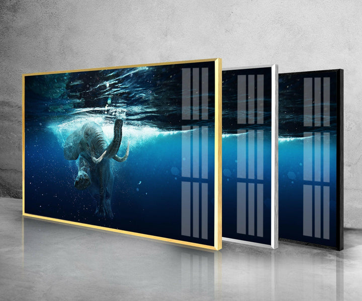 Swimming Elephant Glass Wall Art glass photo prints, glass picture prints
