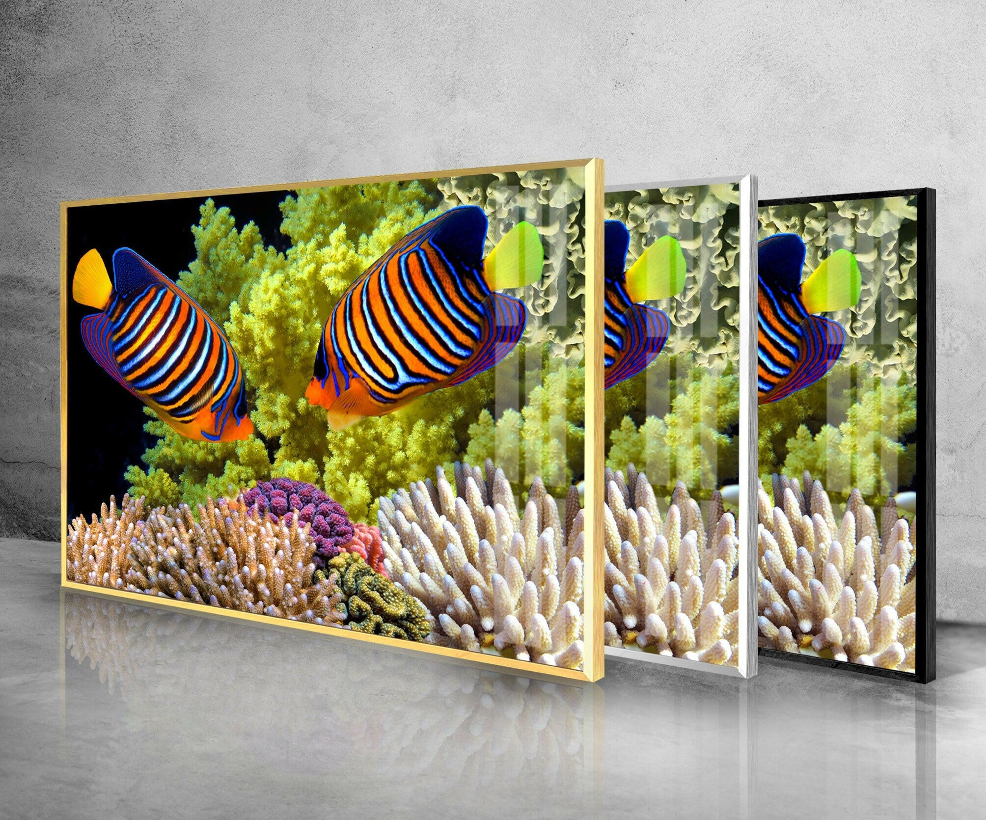 Aquarium Tropical Fishes Tempered Glass Wall Art