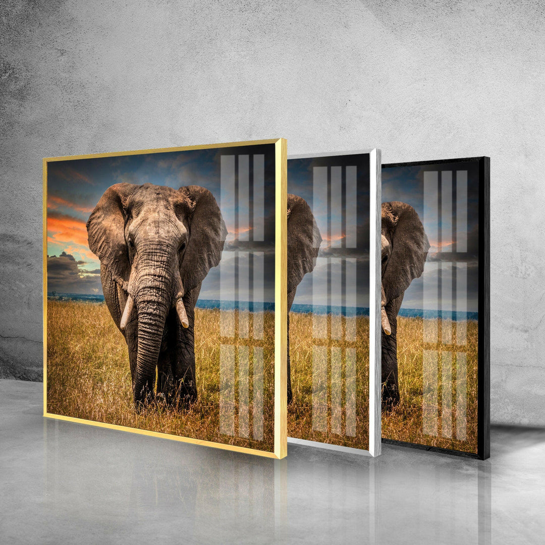 Majestic Elephant Glass Wall Art custom glass photo prints, large glass prints