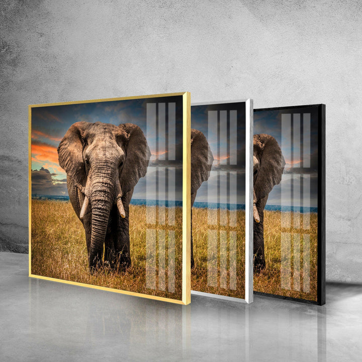 Majestic Elephant Glass Wall Art custom glass photo prints, large glass prints