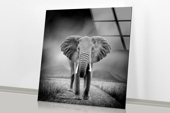 Large Elephant Glass Wall Art glass art painting, glass art for the Wall