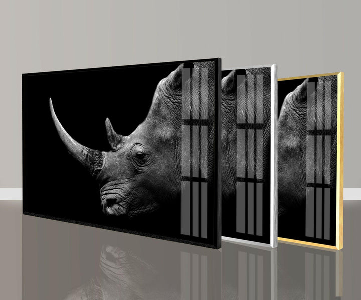 Rhino Head Glass Wall Art glass photo prints, glass picture prints
