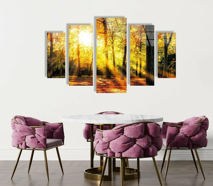Sun Rays In The Green Forest Glass Wall Art, Glass Printing Wall Art, Print photos on glass