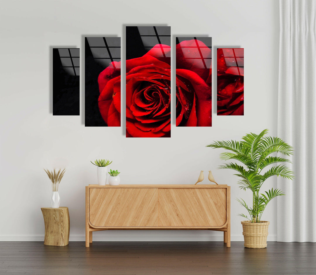 Red Rose Close-Up Glass Wall Art, art glass wall art, glass wall art pictures