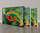 Chameleon Tempered Glass Wall Art