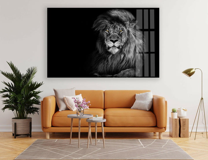 Black Wild Lion Glass Wall Art glass photo prints, glass picture prints