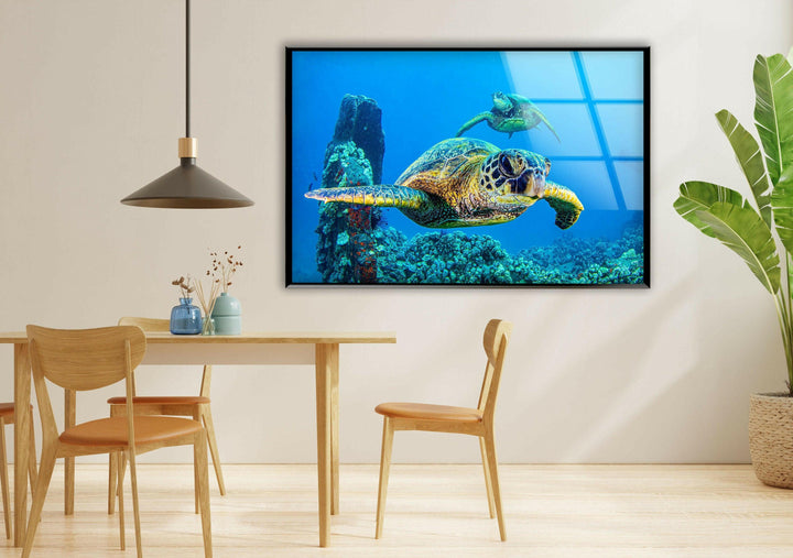 Sea Turtles Swimming Glass Wall Art Glass Printing Wall Art, Print photos on glass