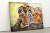 Wild Tiger Animal Tempered Glass Wall Art