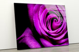 Purple Rose Tempered Glass Wall Art