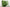 Green Abstract Tempered Glass Wall Art