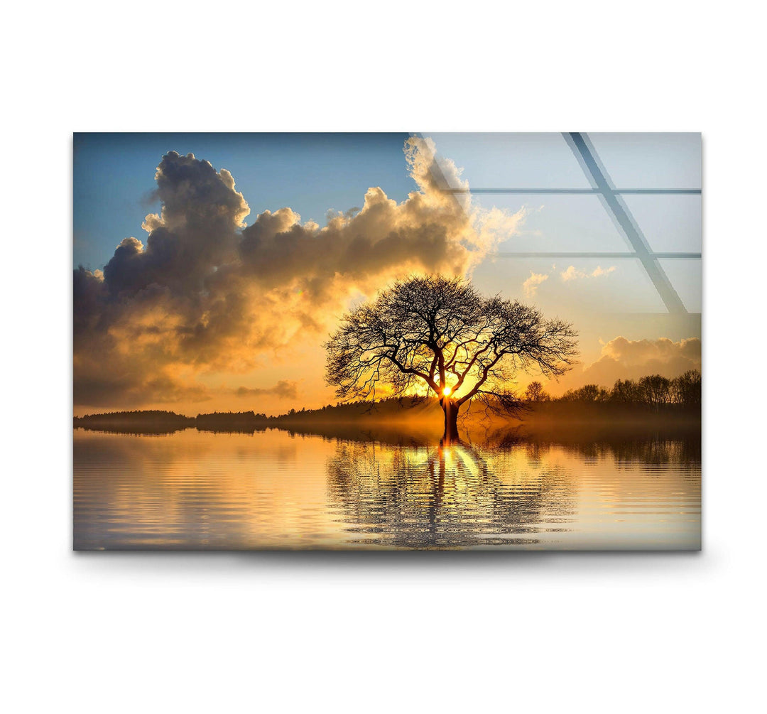 Nature art prints filled with vibrant colors and intricate details celebrating the beauty of the wild

