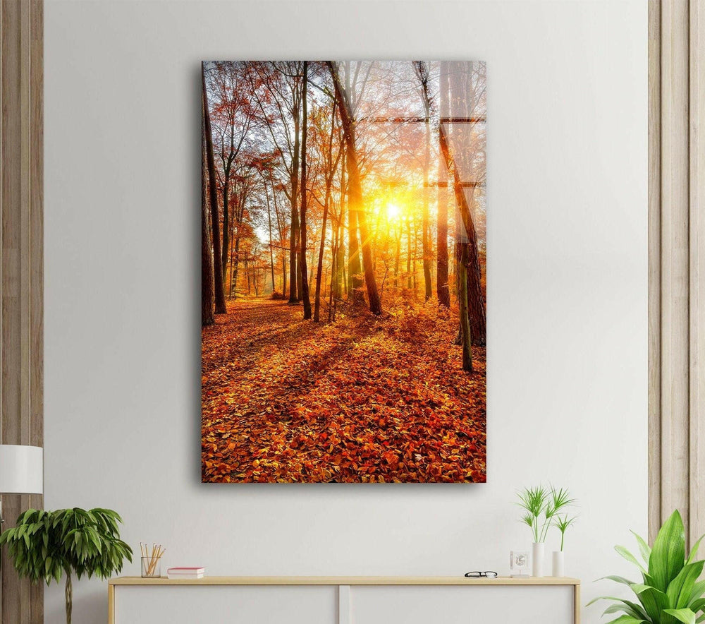 Stunning fall foliage in a sunlit forest, captured in high-quality landscape glass wall art.
