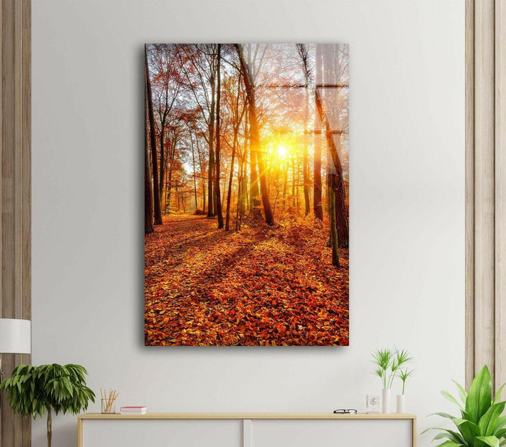Stunning fall foliage in a sunlit forest, captured in high-quality landscape glass wall art.
