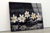 Orchid and Stones Tempered Glass Wall Art
