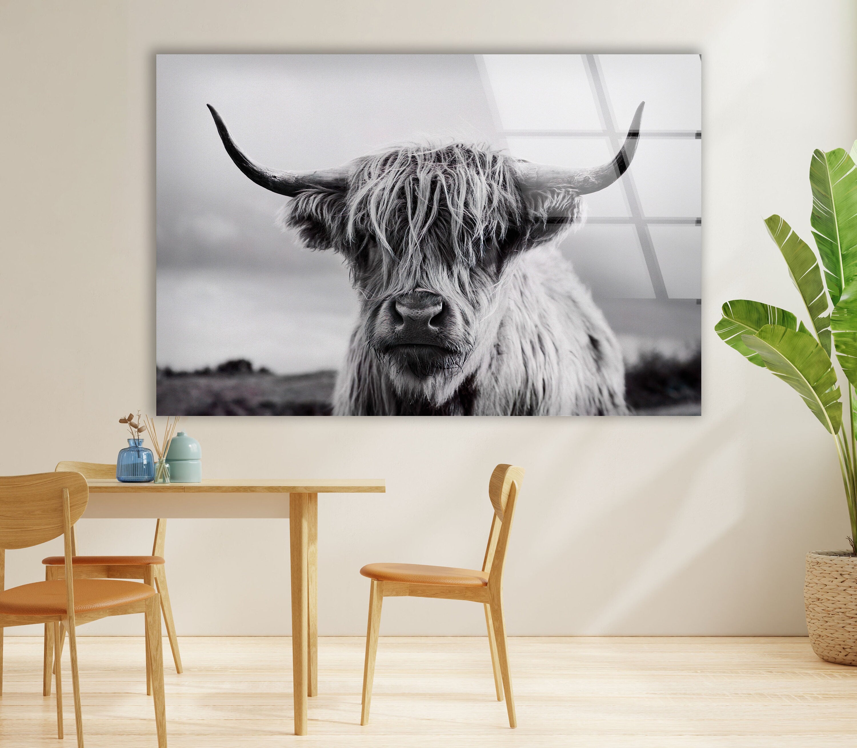 Scottish Cow Tempered Glass Wall Art