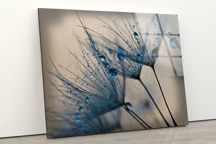 Blue Dandelion Flower Tempered Glass Wall Art - MyPhotoStation - We have abstract stained glass, stained glass panels, glass picture prints for the walls, and glass wall decor for the living room in our collection. There are pieces here that fit every style, from stained glass furniture to art made of colored glass. People who want to make a big impression can even find indoor sun catchers and large format picture prints.