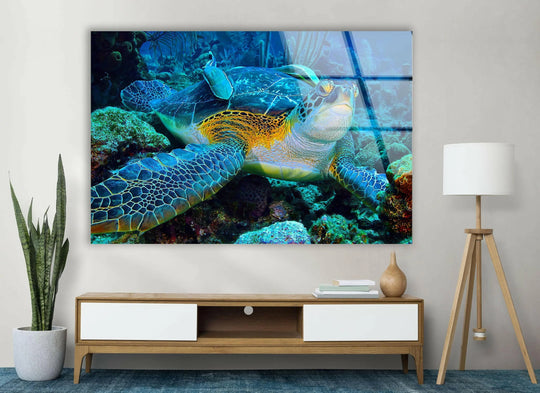 The graceful sea turtle art showcases abstract aquatic textures and vibrant blue hues in stunning glass wall prints.