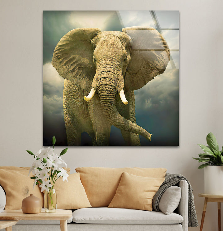 Savannah Elephant Glass Wall Art custom glass photo prints, large glass prints