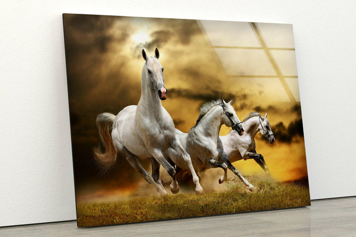 Galloping Horse Glass Wall Art print on glass, glass printed photos