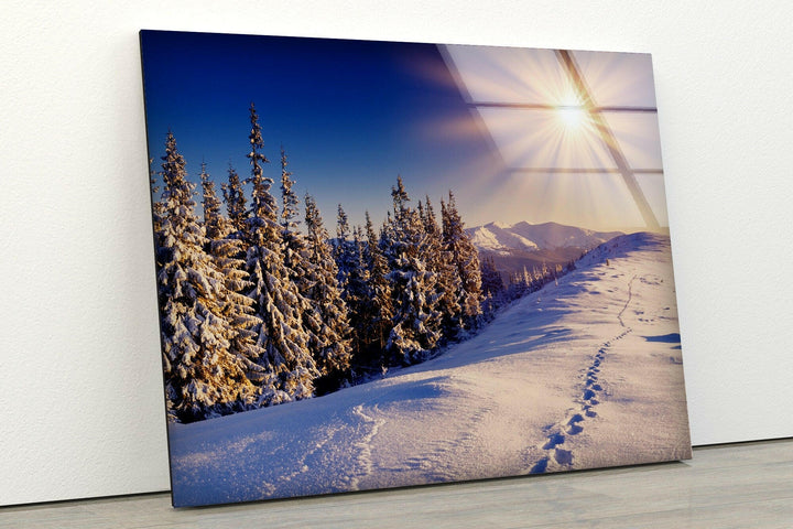 Winter Wonderland with Sunlit Snow – A High-Definition Glass Wall Art
