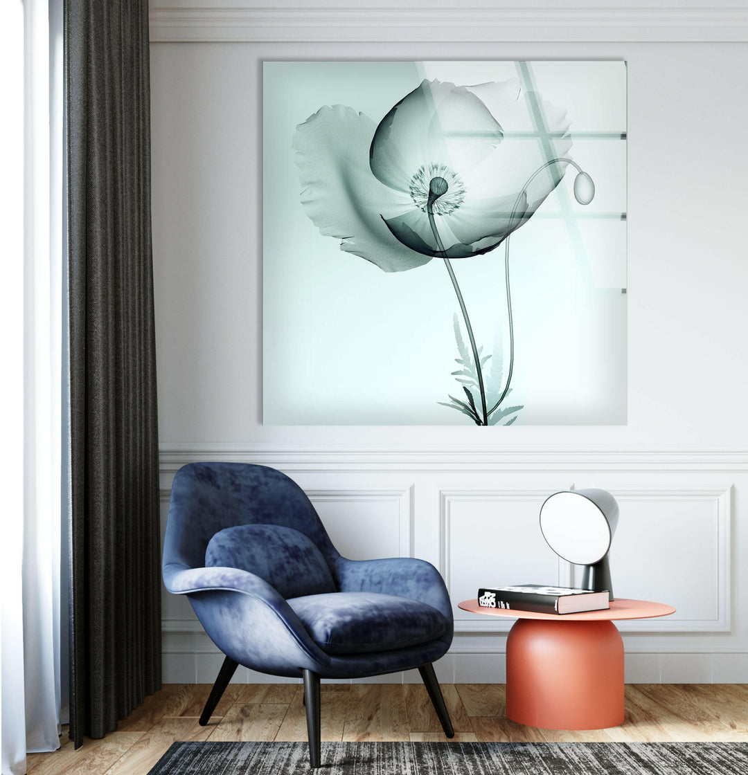X-ray Image Of A Poppy Glass Wall Art, glass photo prints, glass picture prints
