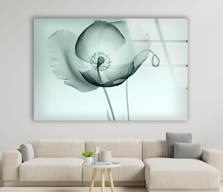 X-ray Image Of A Poppy Glass Wall Art, large glass photo prints, glass wall photos