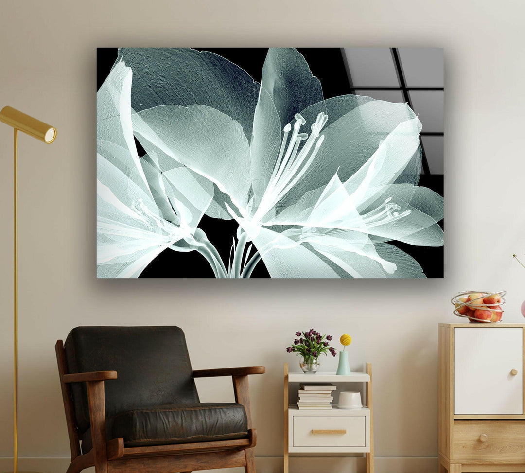 X-Ray Close Up Amaryllis Glass Wall Art, art glass wall art, glass wall art pictures